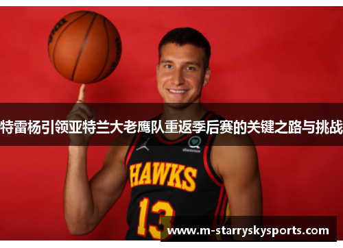 特雷杨引领亚特兰大老鹰队重返季后赛的关键之路与挑战